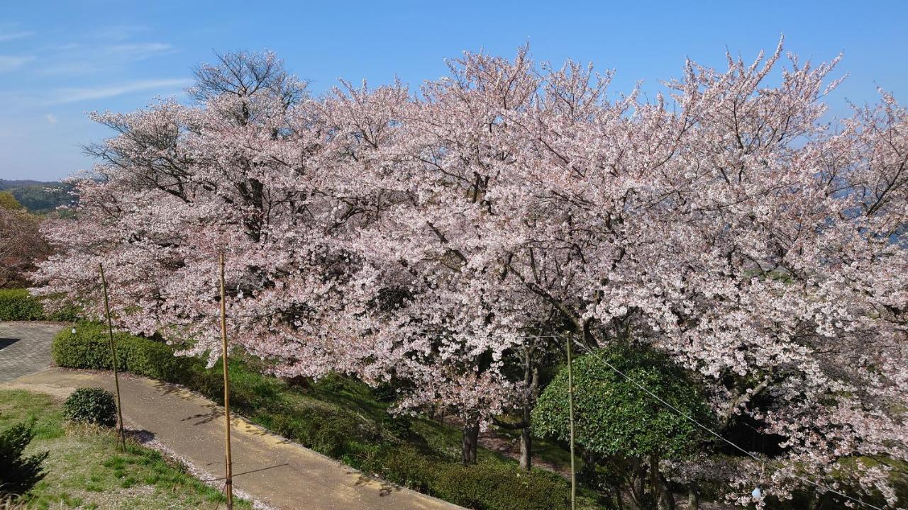 ゲストハウス あずも Guesthouse Azmo Matsue Dış mekan fotoğraf